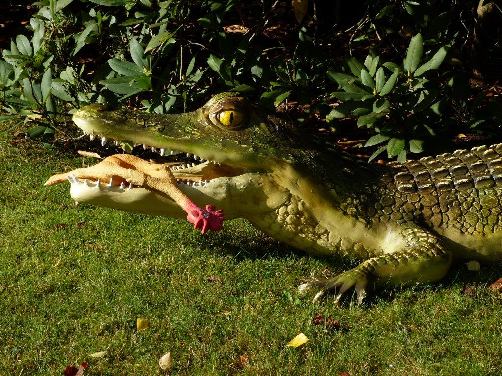 Garten-Croc Frido ...