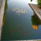 Garten der Alhambra