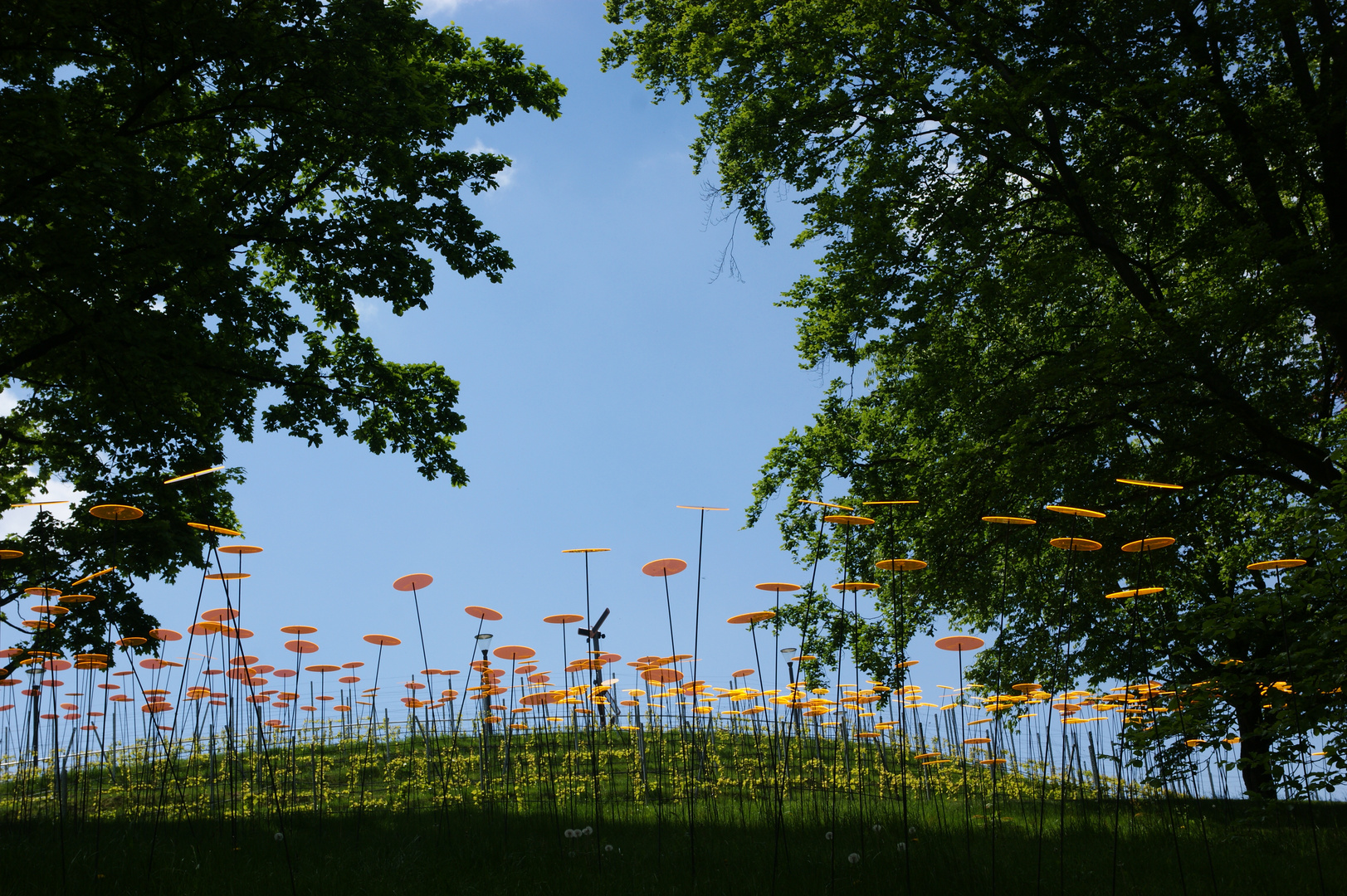 Garten der Außeridischen