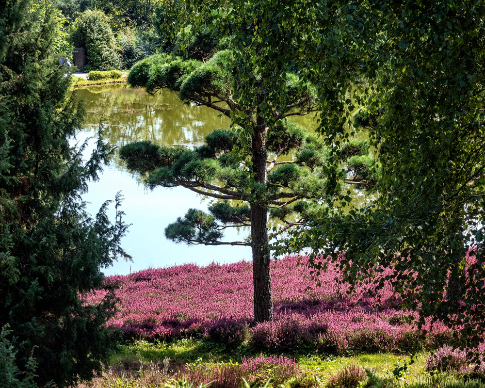 Garten der Glückseligkeit 