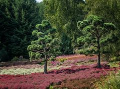 Garten der Glückseligkeit 