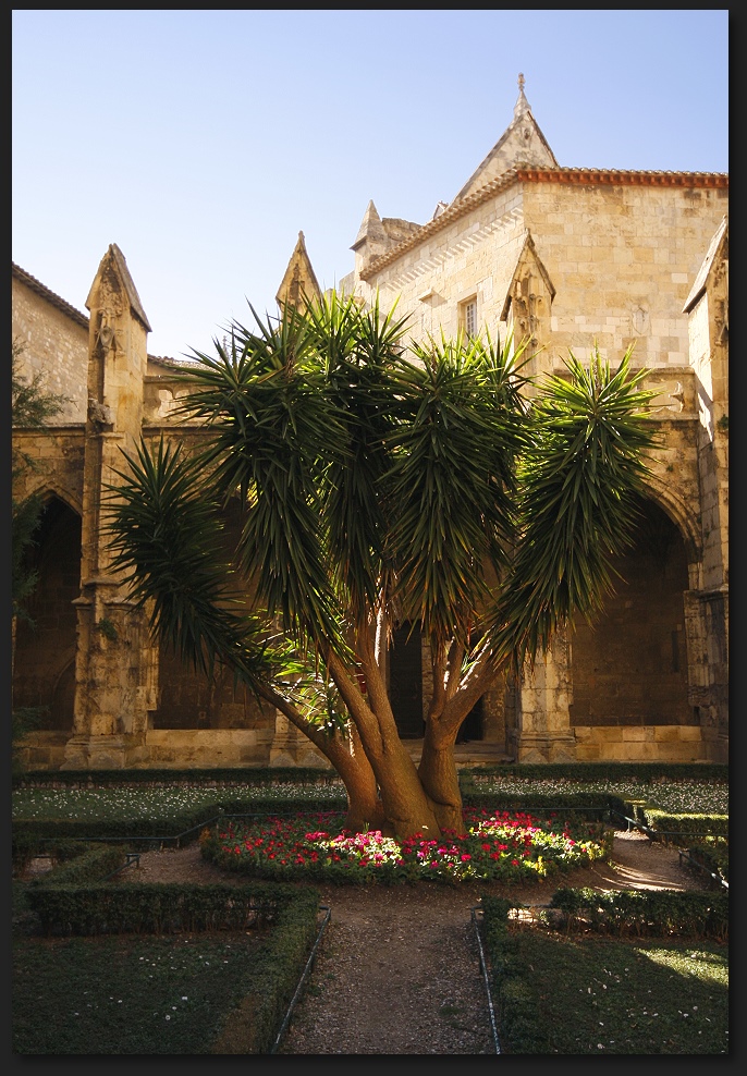 Garten der Kathedrale Saint-Just de Narbonne