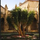 Garten der Kathedrale Saint-Just de Narbonne