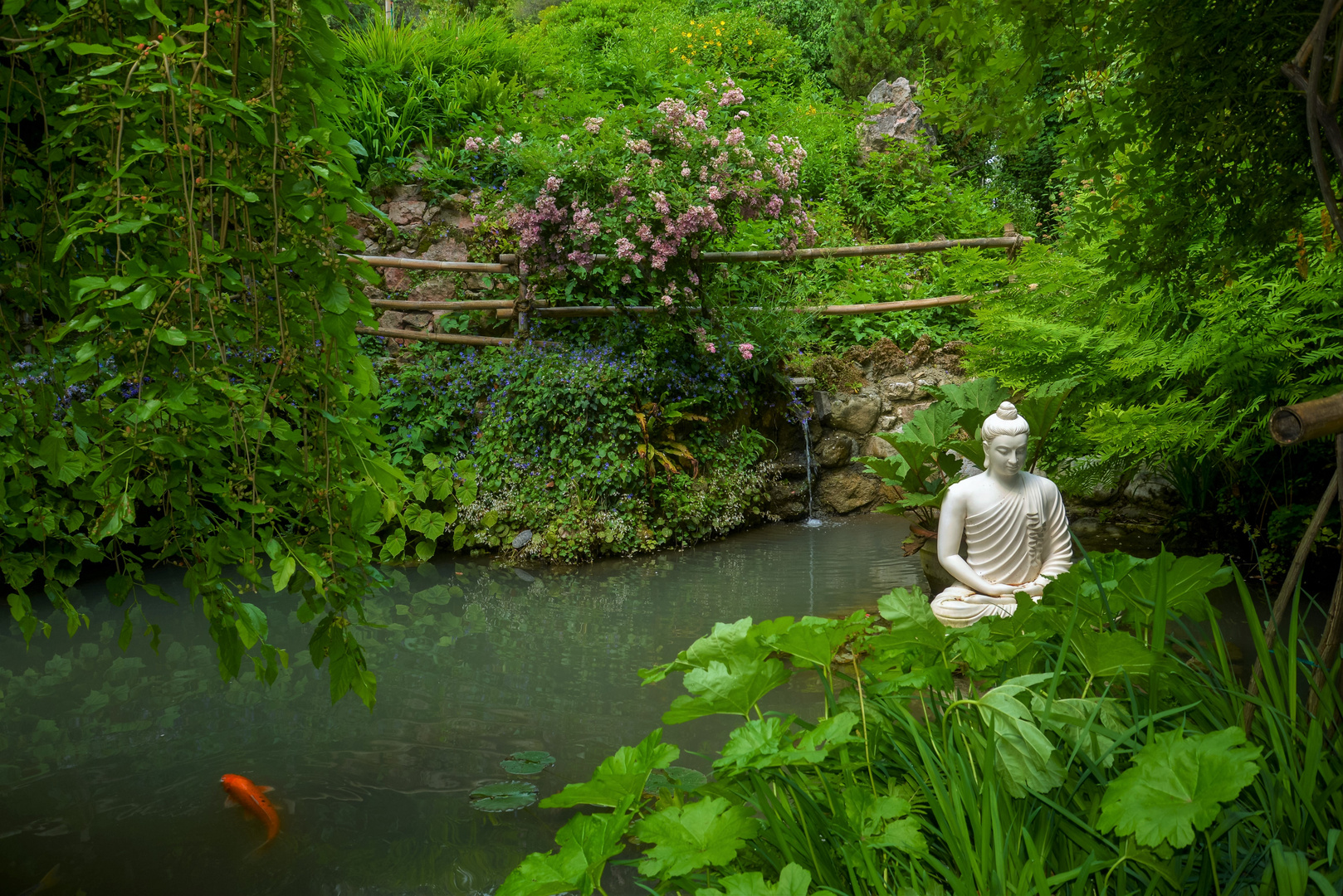 Garten der Sinne Foto & Bild monatswettbewerbe, 2023, 06 du und dein