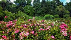 Garten der tausend Rosen