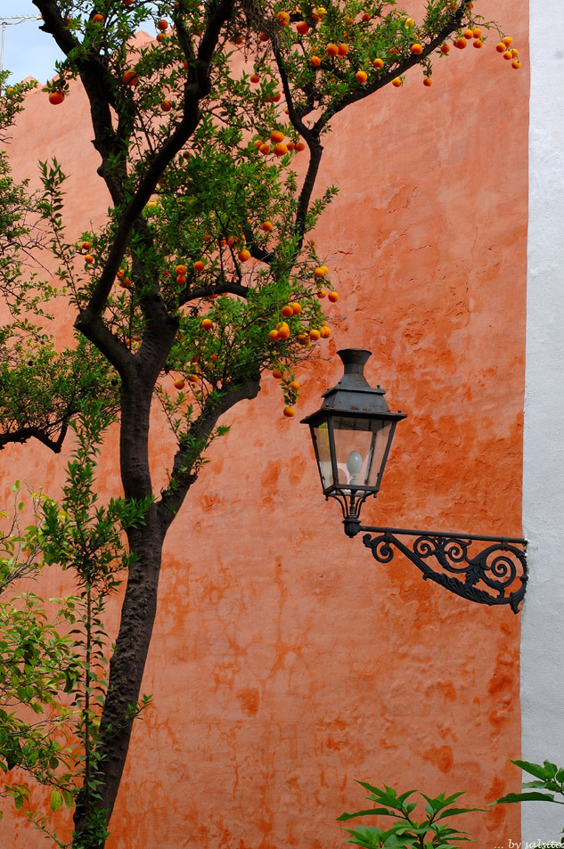 Garten des Alcazar (Sevilla)