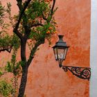 Garten des Alcazar (Sevilla)