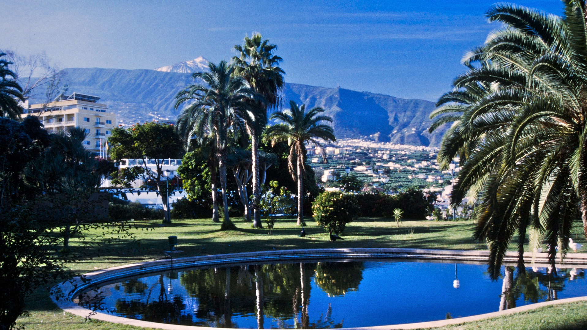 Garten des Casino Taoro in Puerto de la Cruz Foto & Bild Bilder auf