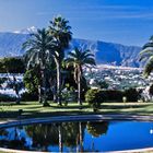 Garten des Casino Taoro in Puerto de la Cruz