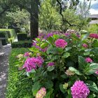 Garten des Palazzo Salis in Soglio IV