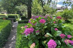 Garten des Palazzo Salis in Soglio IV