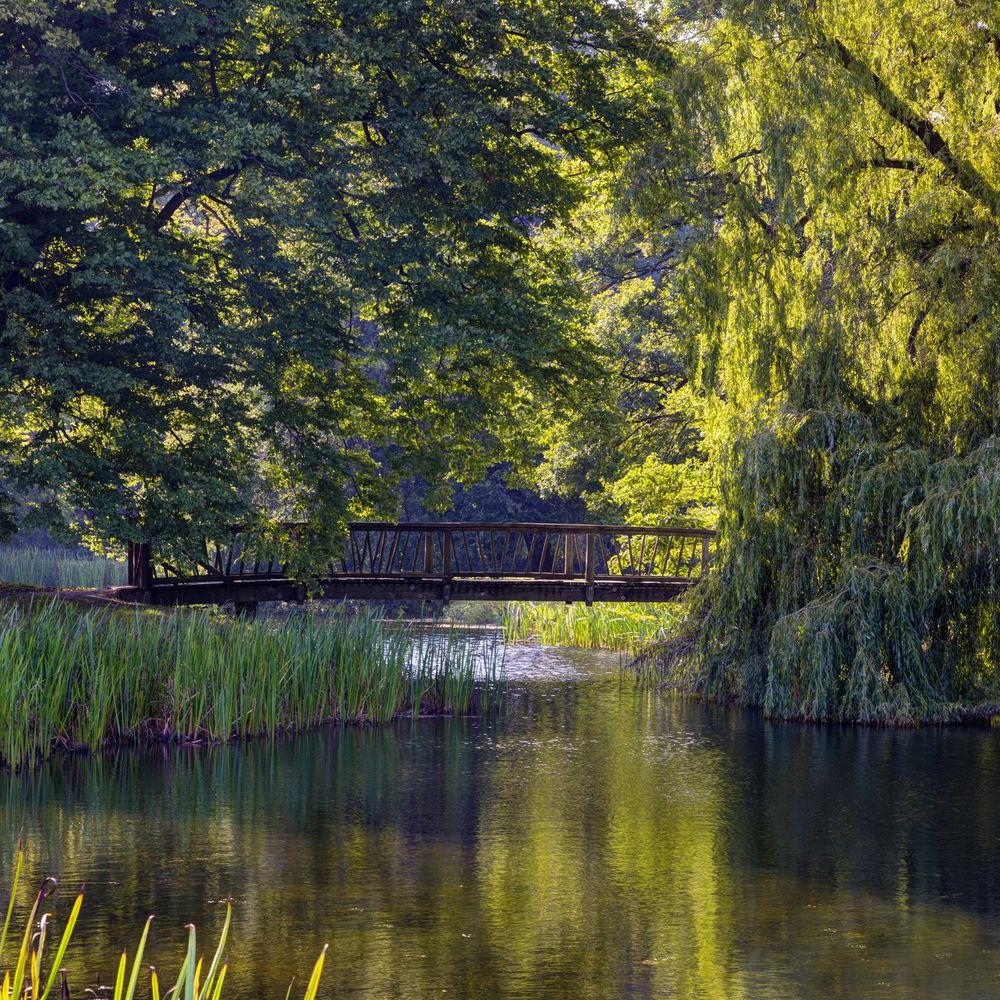 Garten des Schloss Ludwigslust Foto & Bild germany