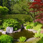 Garten des zusammenfließenden Wassers