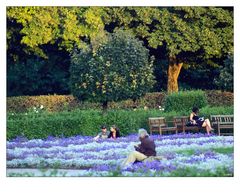 Garten Eden ?