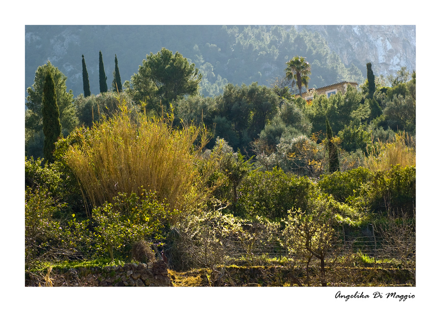 Garten Eden