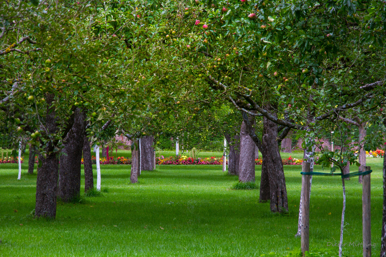 "Garten Eden" Foto & Bild park, apfel, schloss Bilder auf