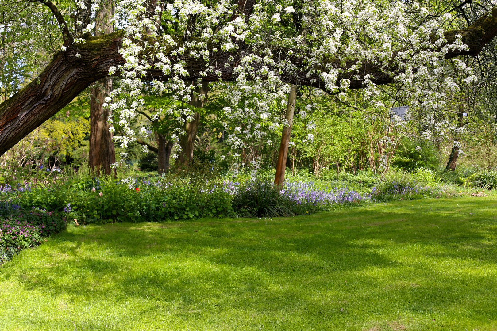 GARTEN EDEN Foto & Bild | park, frühling, gelb Bilder auf ...