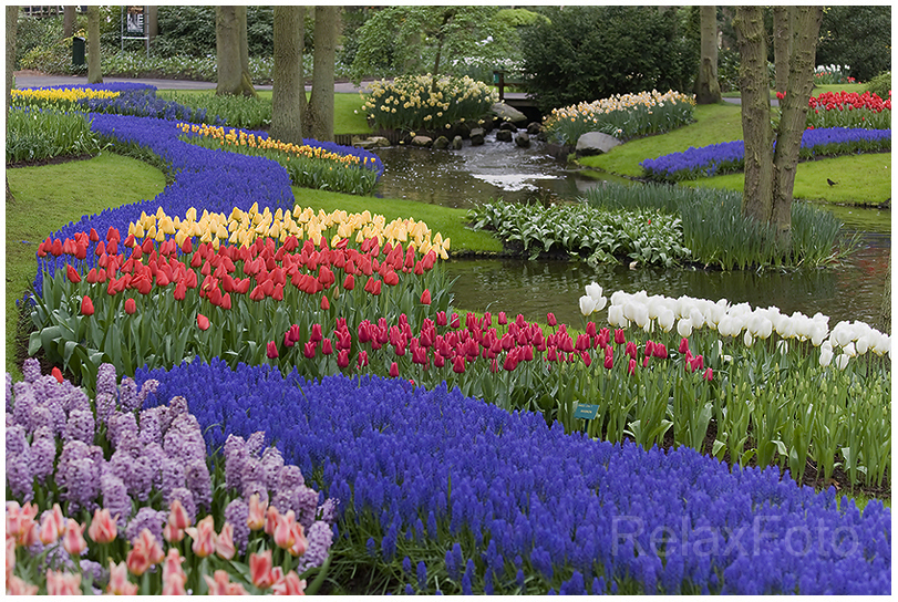 "Garten Eden" Bunte Tulpenbeete auf dem Keukenhof in