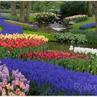 "Garten Eden" - Bunte Tulpenbeete auf dem Keukenhof in Lisse bei Amsterdam