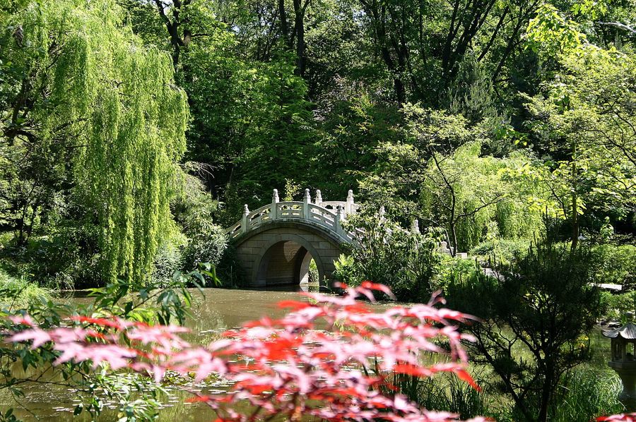 Garten Eden Foto &amp; Bild tiere, zoo, wildpark &amp; falknerei