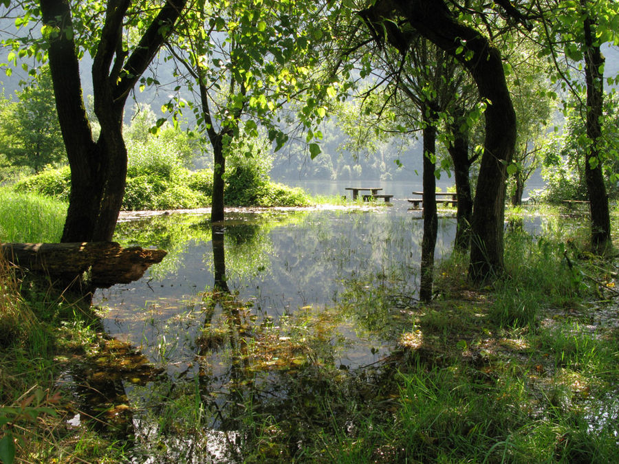 Garten Eden Foto & Bild landschaft, bach, fluss & see