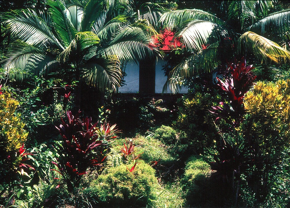 Garten Eden im Indischen Ozean