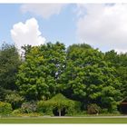 Garten Eden in Augsburg