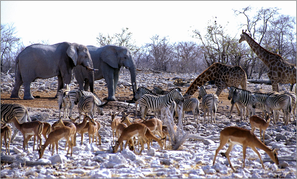 Garten Eden in Namibia