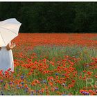 "Garten Eden" - Junge Frau in weißem Sommerkleid mit Schirm im Mohnfeld