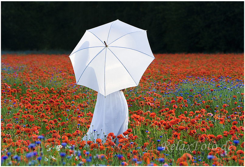 "Garten Eden" - Junge Frau in weißem Sommerkleid mit Schirm im Mohnfeld