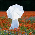 "Garten Eden" - Junge Frau in weißem Sommerkleid mit Schirm im Mohnfeld