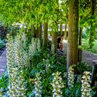 Garten HDR