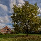 Garten herbstlich