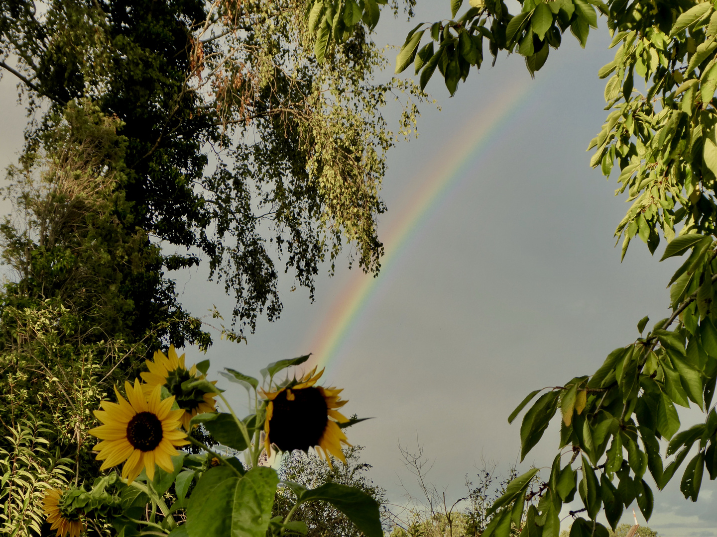 Garten - Hoffnung - Regenbogen