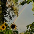 Garten - Hoffnung - Regenbogen