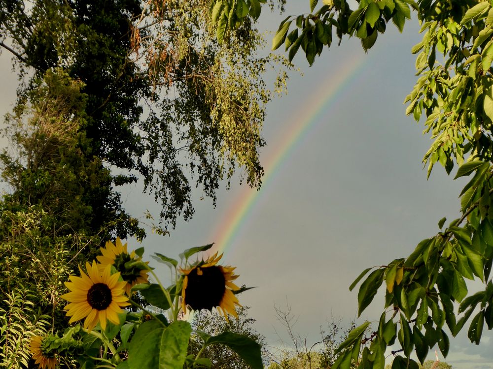 Garten - Hoffnung - Regenbogen