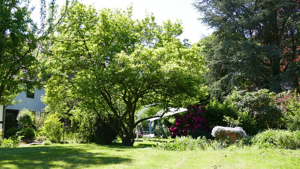 Garten I Foto & Bild landschaft, garten & parklandschaften, natur