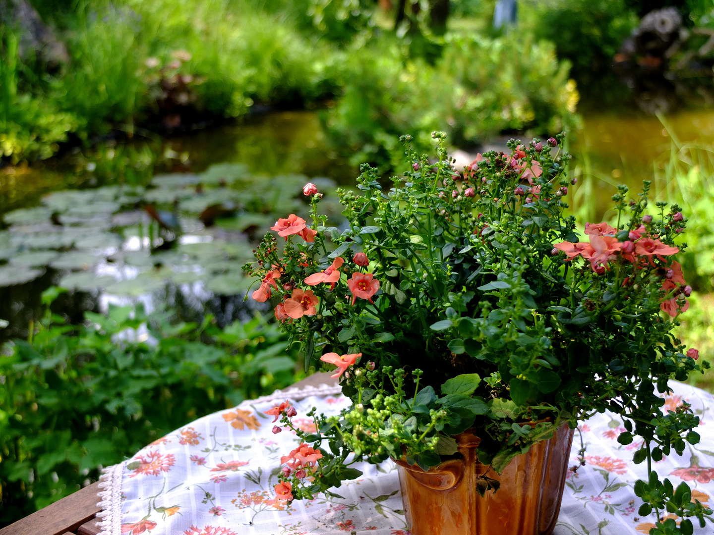 Garten Idylle am Teich