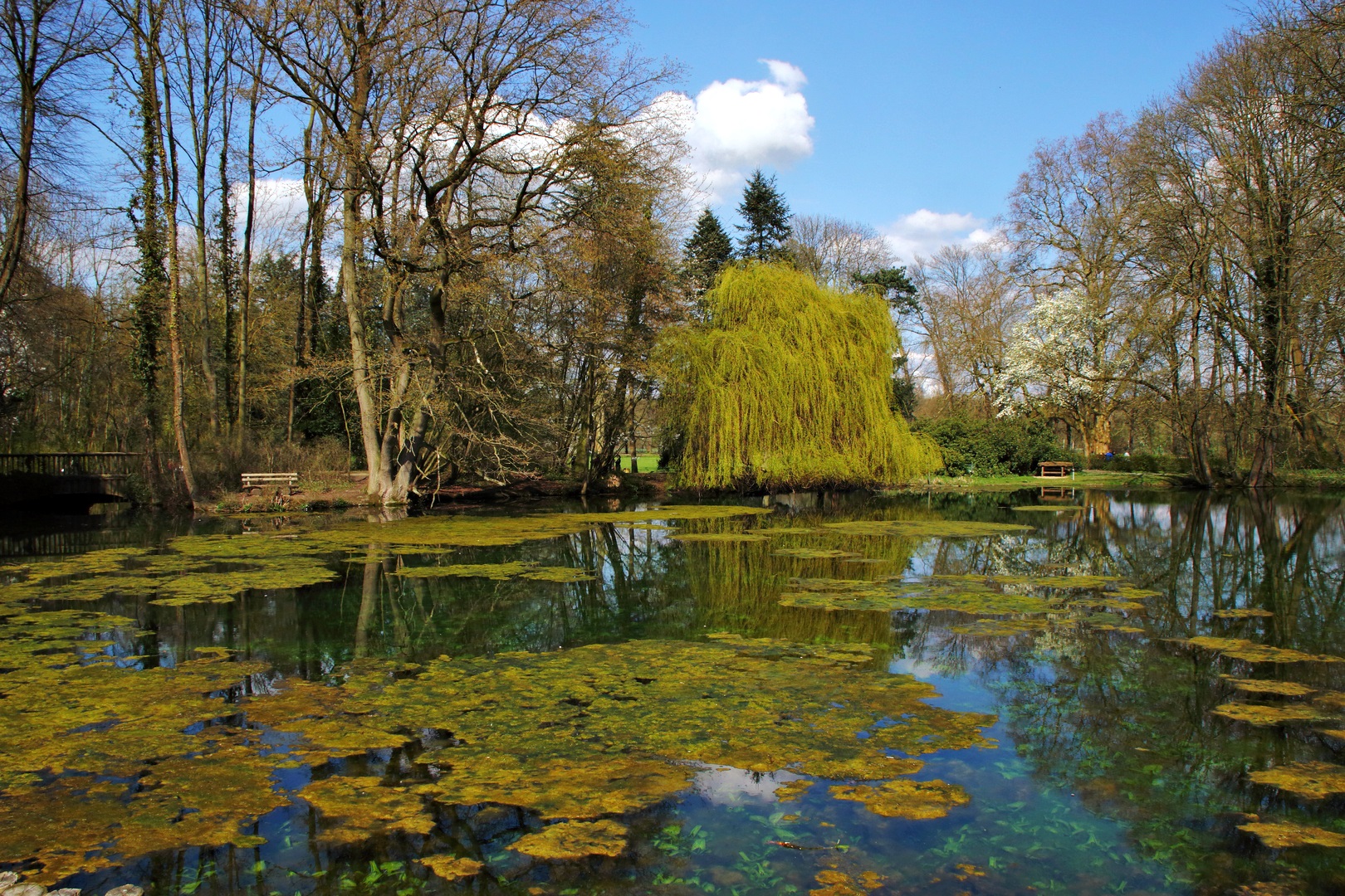 Garten im