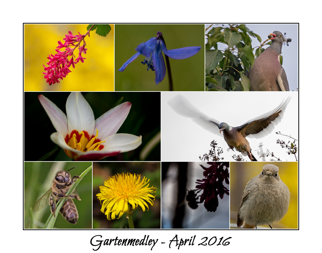 Garten im April