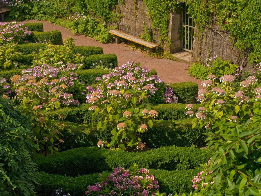 Garten im Bunker Foto &amp; Bild landschaft, garten