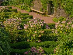 Garten im Bunker