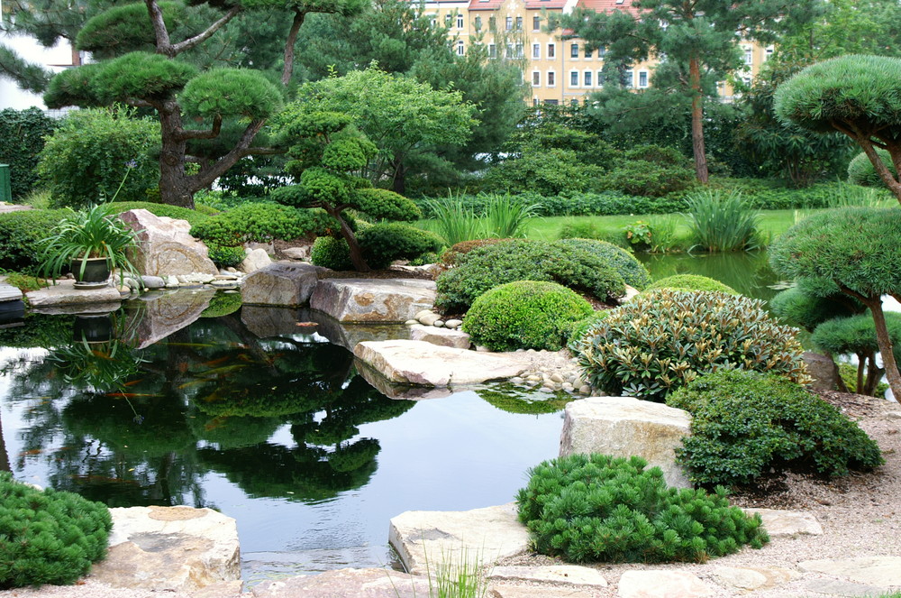 Garten im japanischen Stil Foto & Bild landschaft
