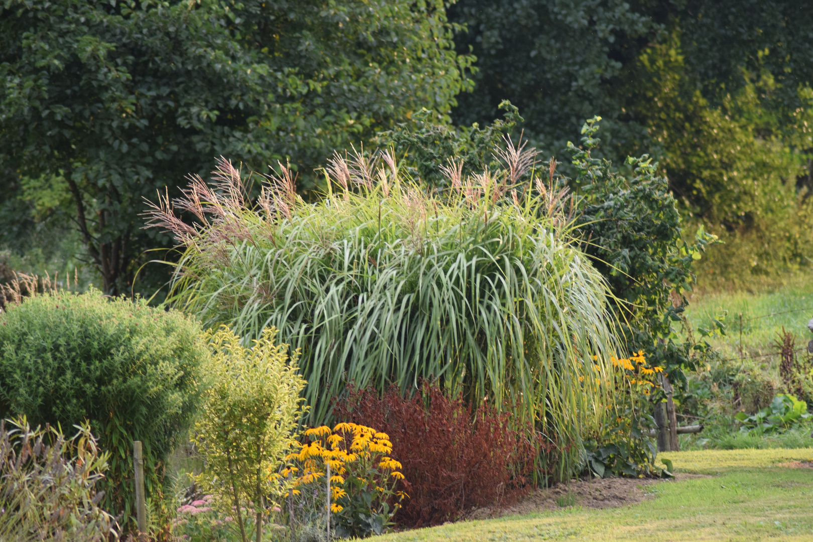 Garten im Nirgendwo