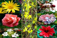 Garten im November