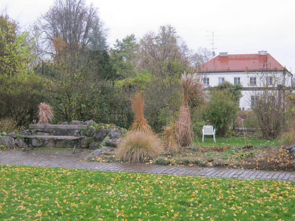 Garten im November