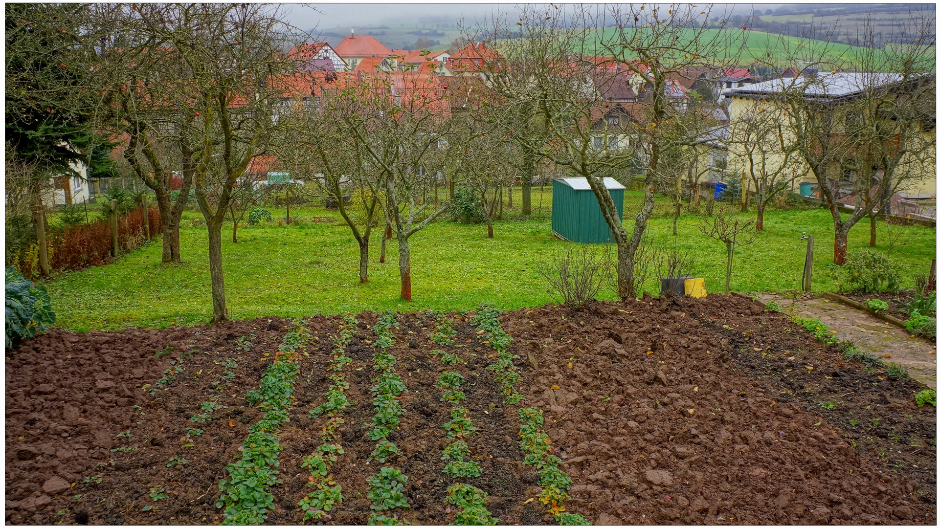 Garten im November (jardín en noviembre)