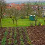 Garten im November (jardín en noviembre)