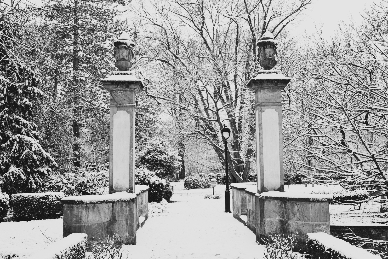 Garten im Schnee