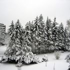 Garten im Schnee - Schneegarten